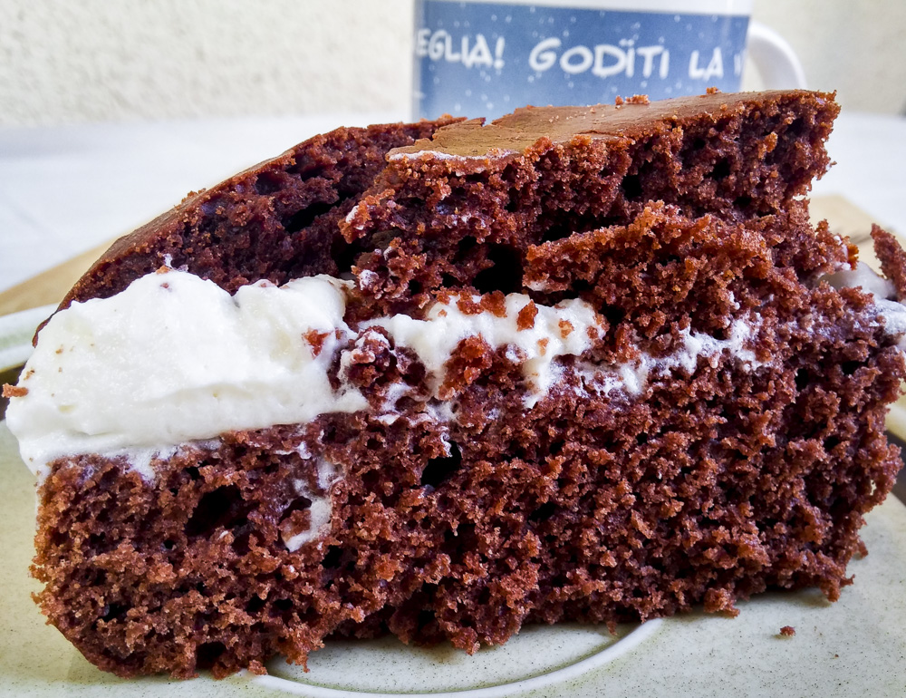 torta facilissima con cacao